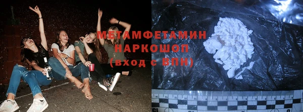 PSILOCYBIN Кодинск