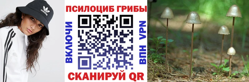 Псилоцибиновые грибы MAGIC MUSHROOMS  blacksprut ONION  Сердобск  наркотики 